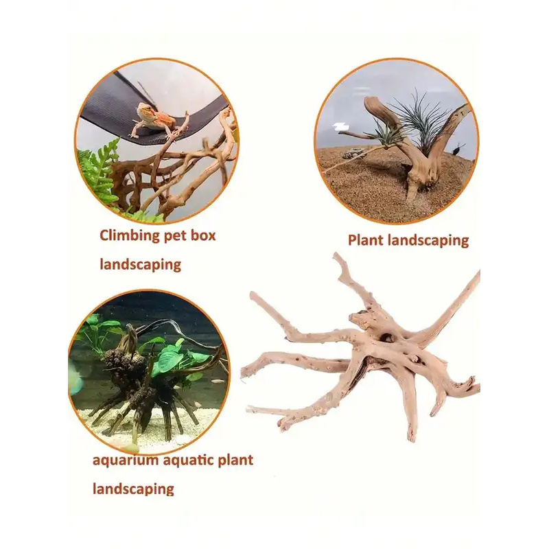 Natural Driftwood for Aquarium - Marine Aquarium All In One ulasan dan harga