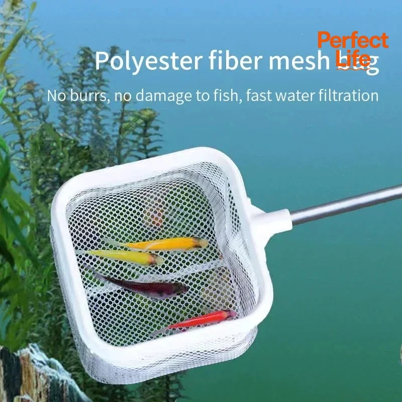 1、2Pcs Stainless Steel Fishing - Aquarium Marineland ulasan dan harga