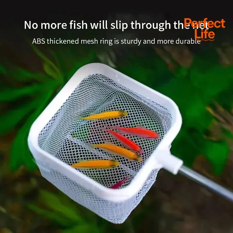 1、2Pcs Stainless Steel Fishing - Aquarium Marineland ulasan dan harga
