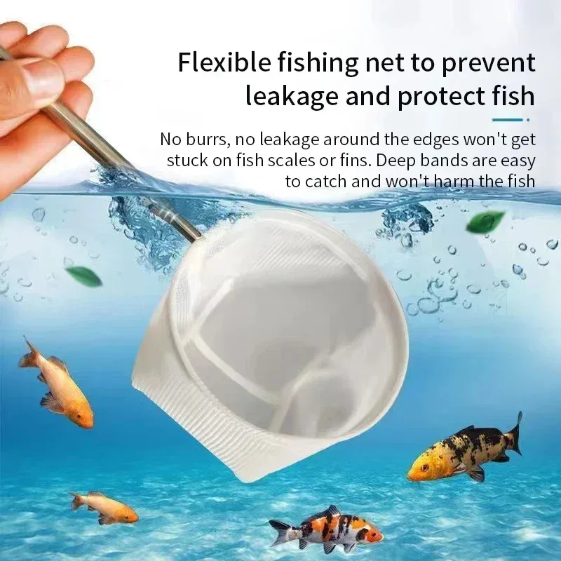 1、2Pcs Stainless Steel Fishing - Aquarium Marineland ulasan dan harga