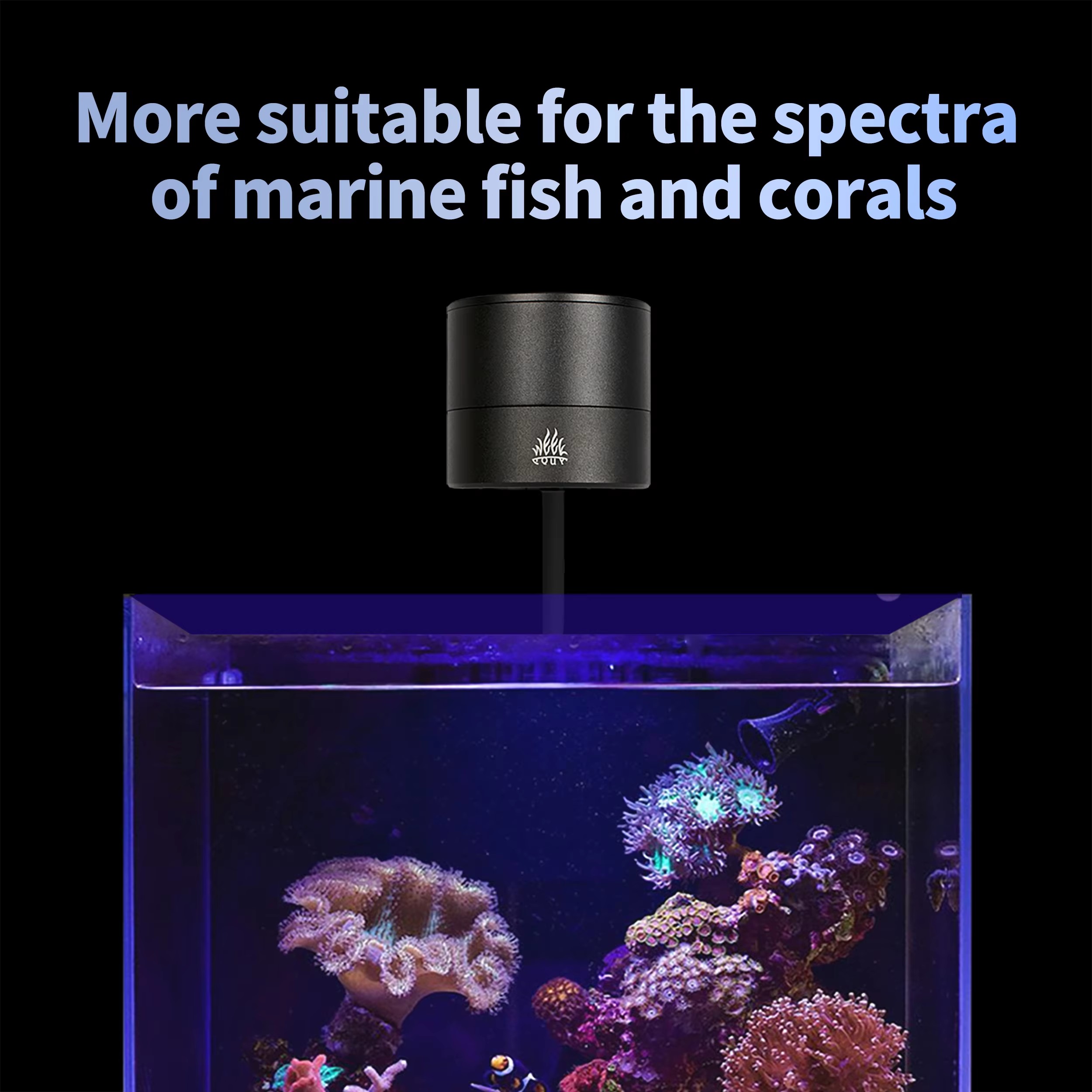WEEK AQUA Aquarium Light Manuf - Aquarium Blue Marine Reef ulasan dan harga