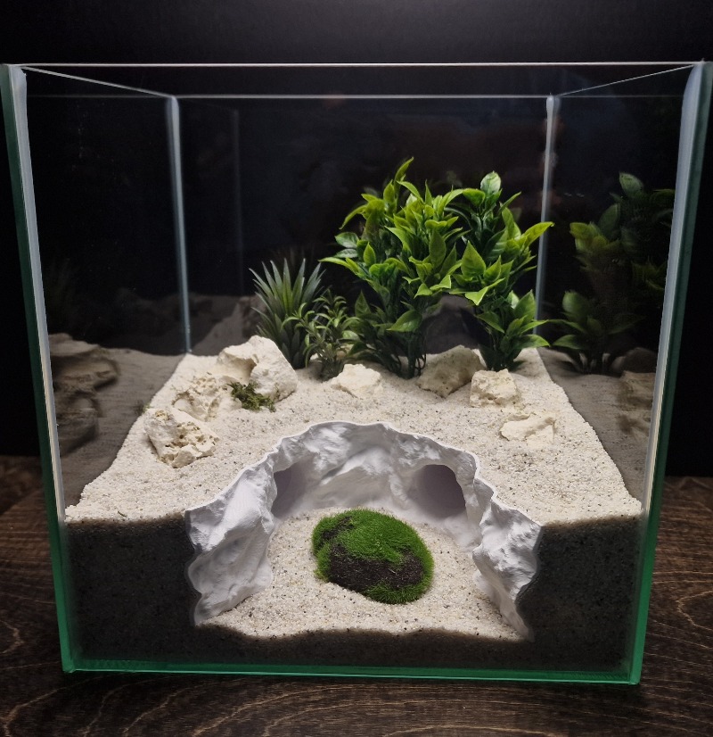 2-in-1 Water & Land Hiding Cav - Aquarium Marineland ulasan dan harga