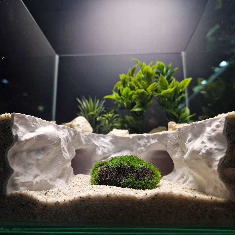 2-in-1 Water & Land Hiding Cav - Aquarium Marineland ulasan dan harga