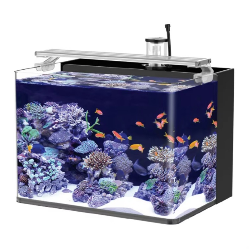 Table Curved Saltwater Marine  - Marine Aquarium All In One ulasan dan harga