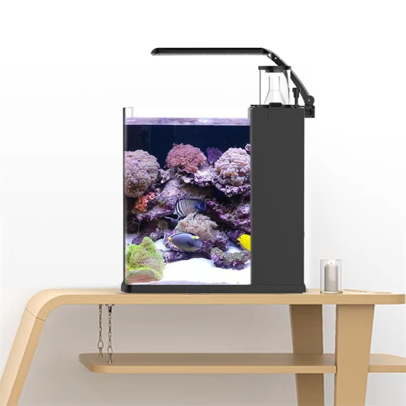 Table Curved Saltwater Marine  - Marine Aquarium All In One ulasan dan harga